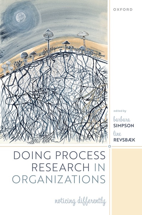 Cover image for book Doing Process Research in Organizations