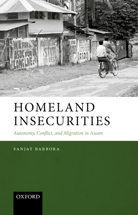 Cover image for book Homeland Insecurities