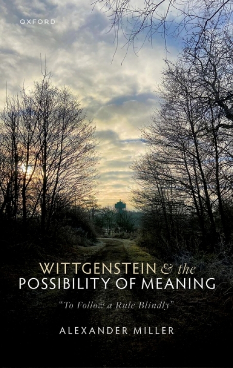 Cover image for book Wittgenstein and the Possibility of Meaning