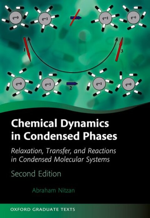 Cover image for book Chemical Dynamics in Condensed Phases