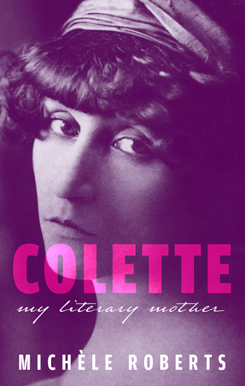 Cover image for book Colette