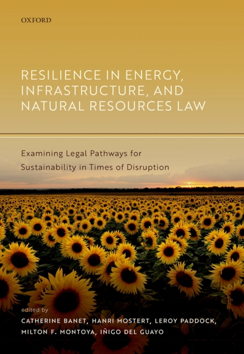 Cover image for book Resilience in Energy, Infrastructure, and Natural Resources Law