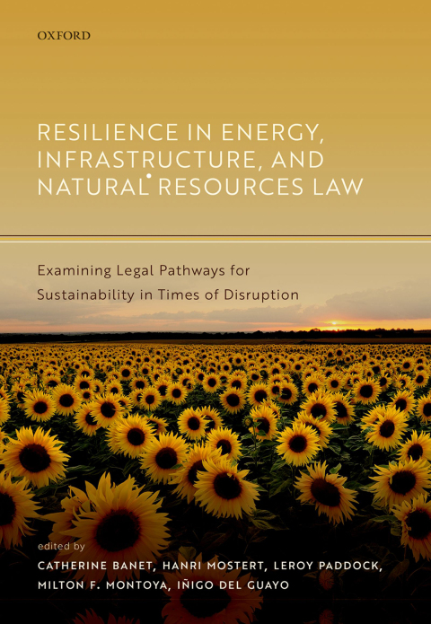 Cover image for book Resilience in Energy, Infrastructure, and Natural Resources Law