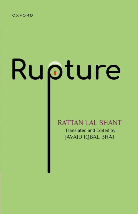 Cover image for book Rupture