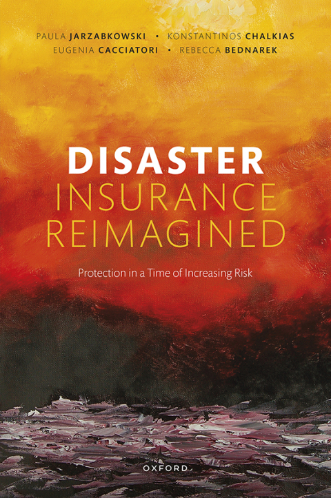 Cover image for book Disaster Insurance Reimagined