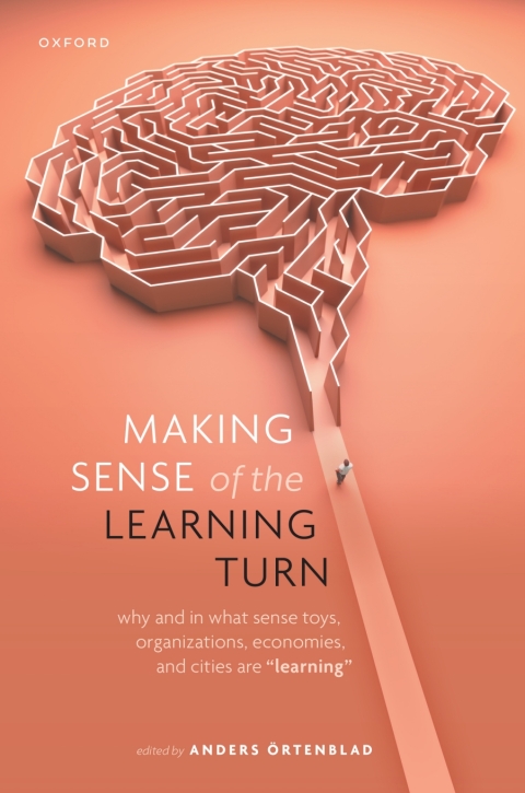 Cover image for book Making Sense of the Learning Turn