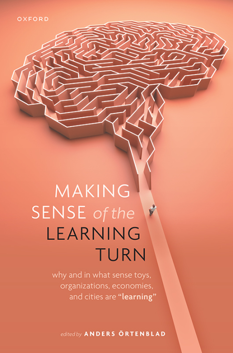 Cover image for book Making Sense of the Learning Turn