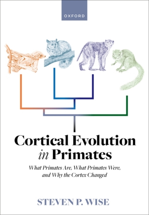 Cover image for book Cortical Evolution in Primates
