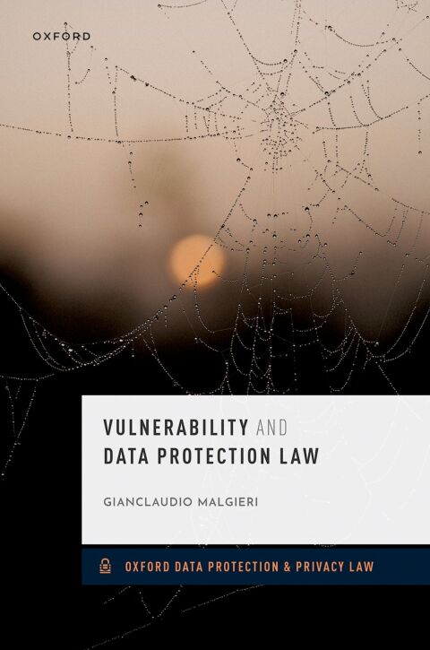 Cover image for book Vulnerability and Data Protection Law