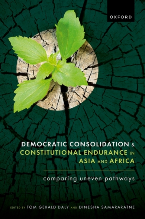 Cover image for book Democratic Consolidation and Constitutional Endurance in Asia and Africa