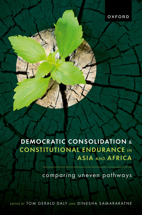 Cover image for book Democratic Consolidation and Constitutional Endurance in Asia and Africa