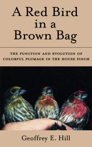 A Red Bird in a Brown Bag
