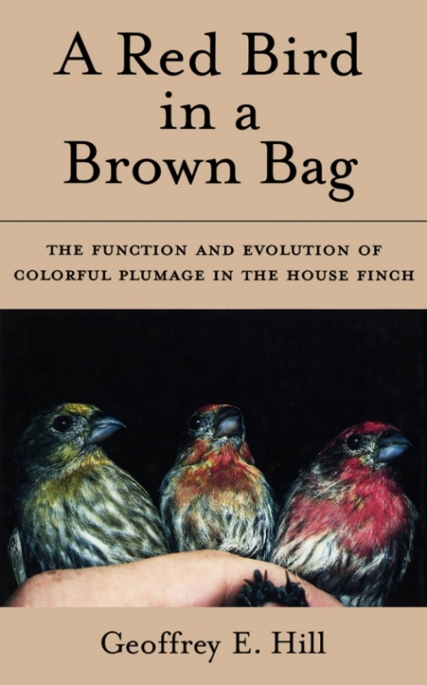 Cover image for book A Red Bird in a Brown Bag