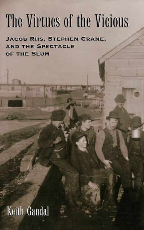 Cover image for book The Virtues of the Vicious