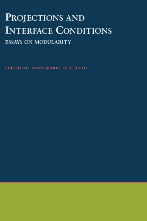 Cover image for book Projections and Interface Conditions