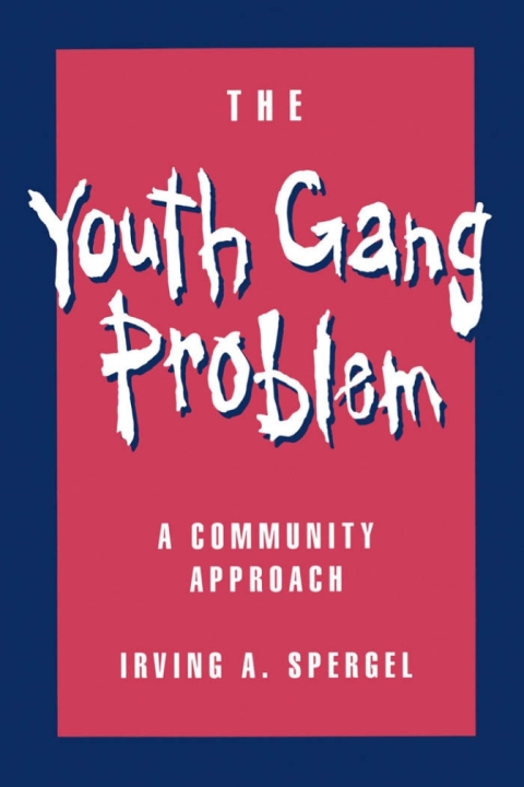 Cover image for book The Youth Gang Problem
