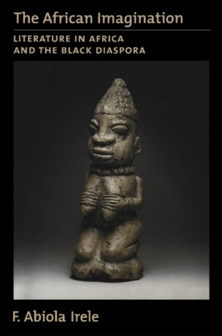 The African Imagination