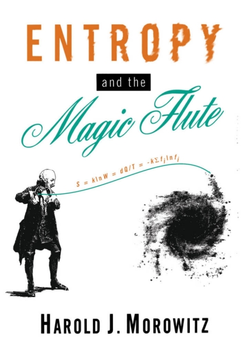 Cover image for book Entropy and the Magic Flute