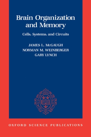 Brain Organization and Memory