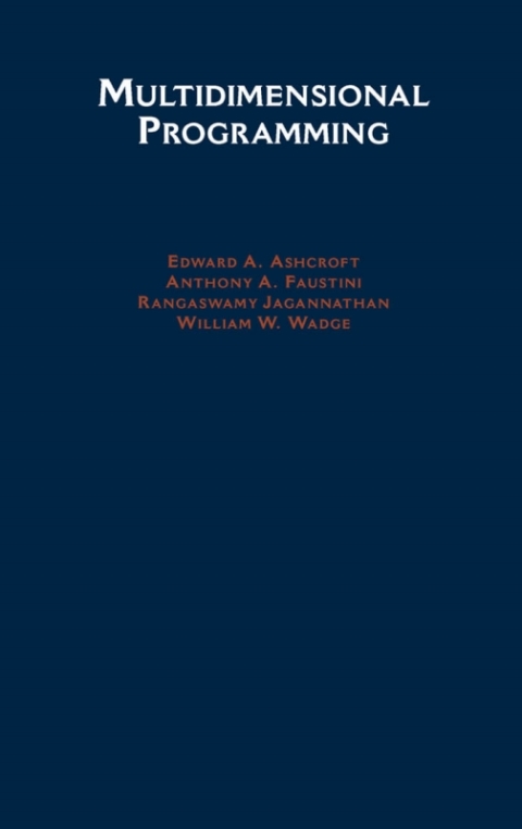 Cover image for book Multidimensional Programming