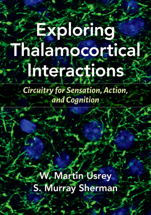 Cover image for book Exploring Thalamocortical Interactions