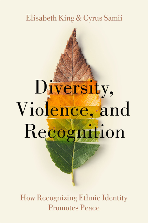Cover image for book Diversity, Violence, and Recognition