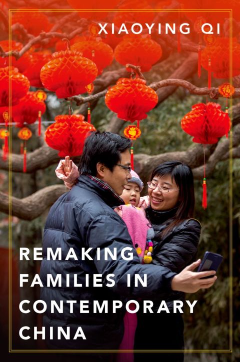 Cover image for book Remaking Families in Contemporary China
