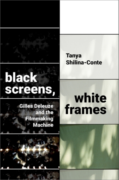 Cover image for book Black Screens, White Frames