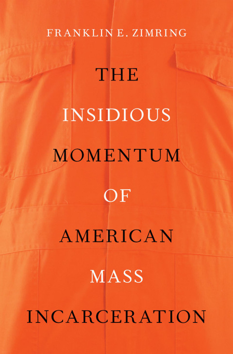 Cover image for book The Insidious Momentum of American Mass Incarceration