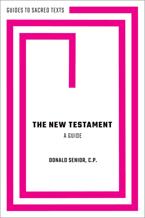 Cover image for book The New Testament: A Guide