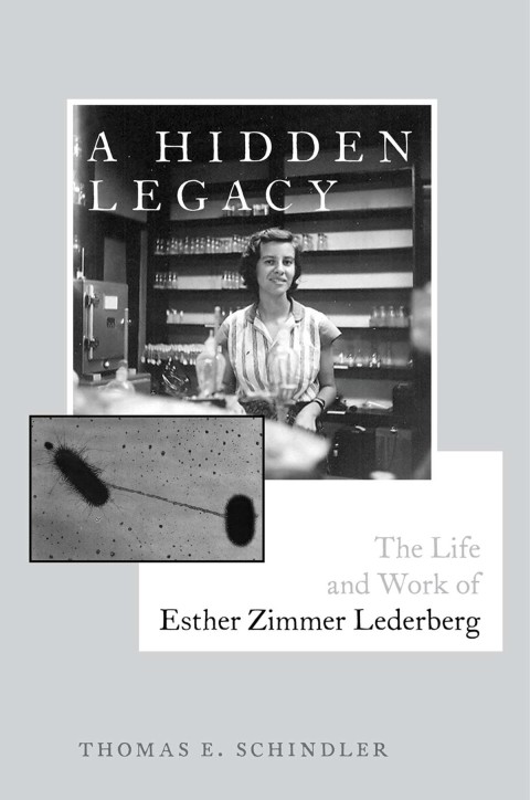 Cover image for book A Hidden Legacy