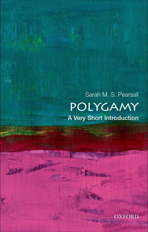 Cover image for book Polygamy