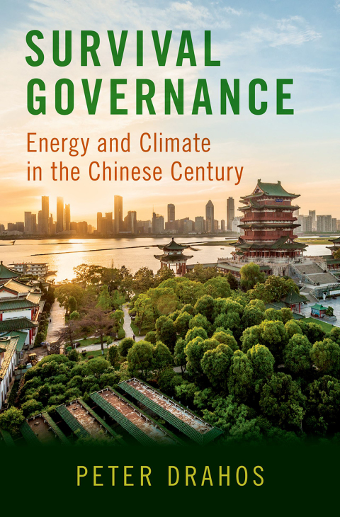 Cover image for book Survival Governance