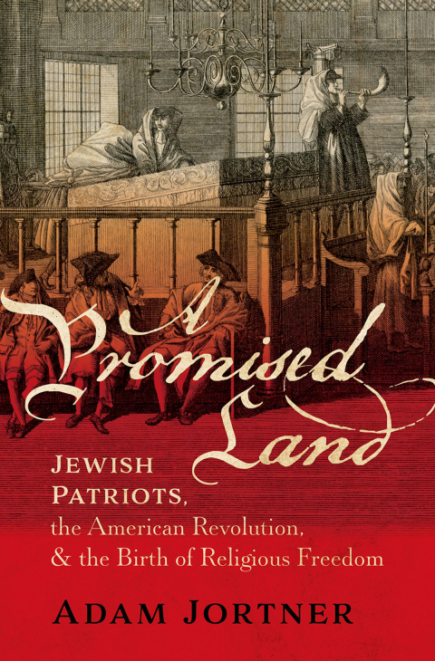Cover image for book A Promised Land