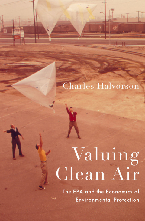 Cover image for book Valuing Clean Air