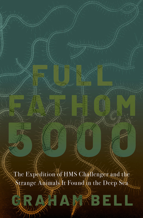 Cover image for book Full Fathom 5000