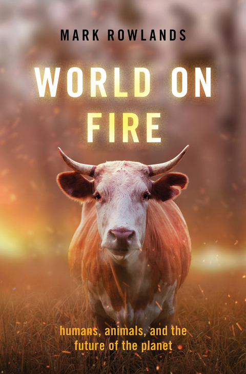Cover image for book World on Fire