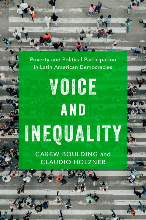 Cover image for book Voice and Inequality