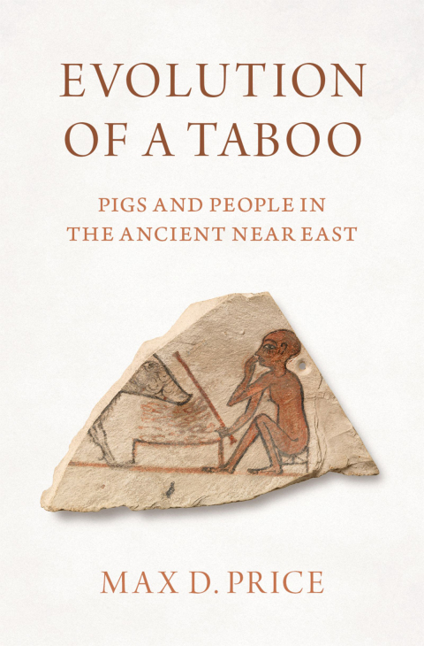 Cover image for book Evolution of a Taboo