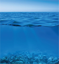 Titelbild: Marine Biology 6th edition 9780197543504