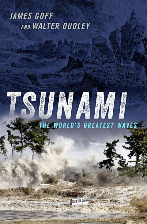 Cover image for book Tsunami