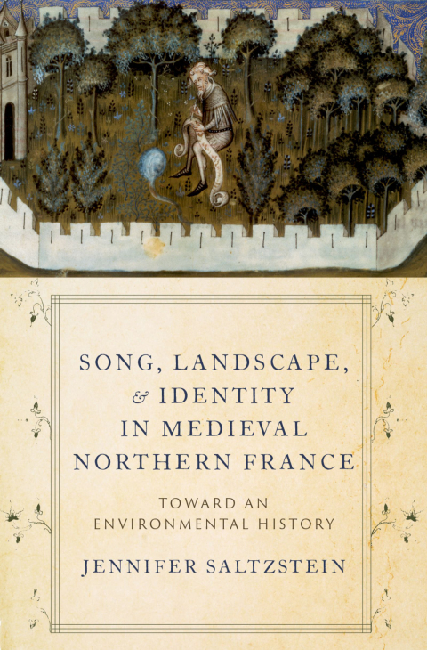 Cover image for book Song, Landscape, and Identity in Medieval Northern France