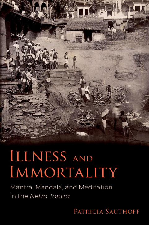 Cover image for book Illness and Immortality