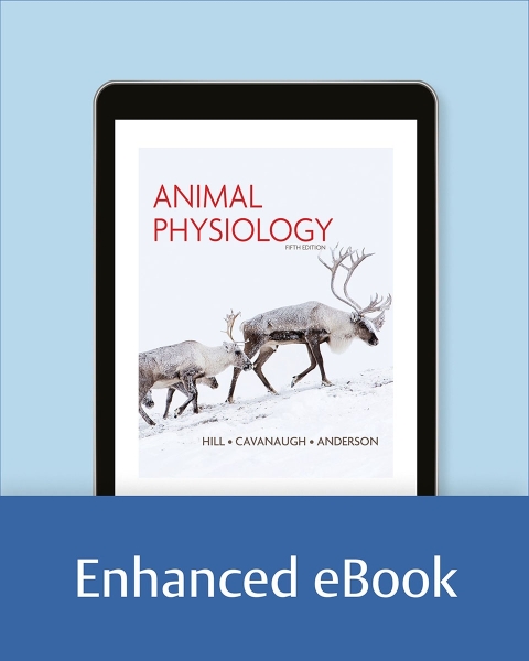Cover image for book Animal Physiology