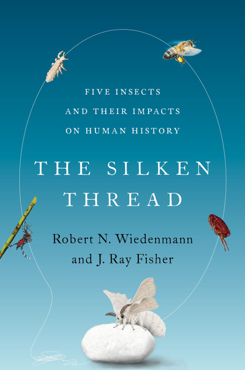 Cover image for book The Silken Thread