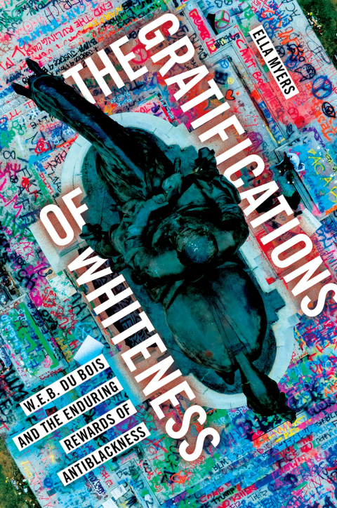 Cover image for book The Gratifications of Whiteness