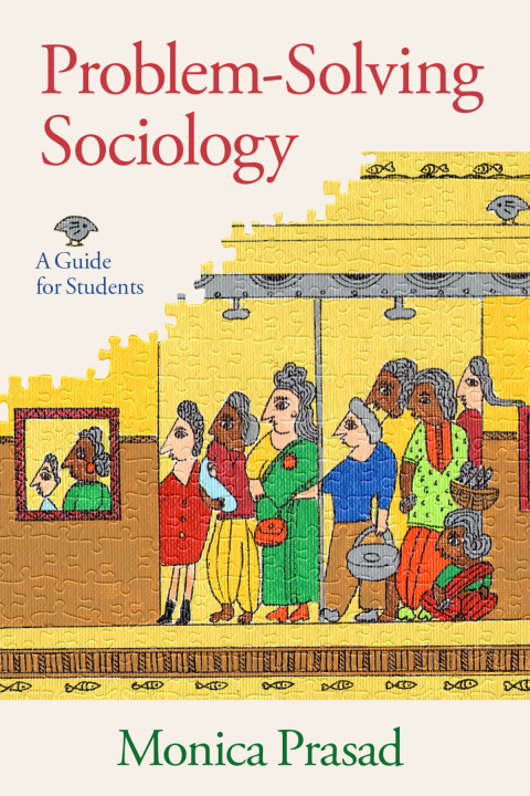 Cover image for book Problem-Solving Sociology