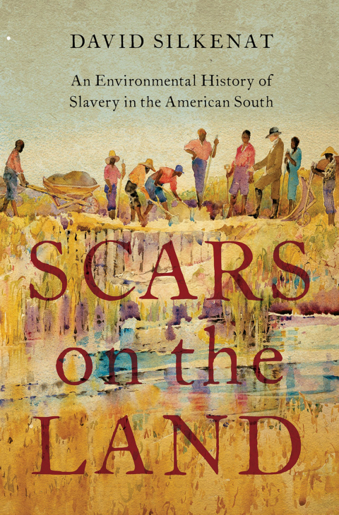 Scars On The Land