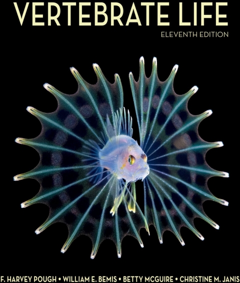 Reflowable Vertebrate Life; $69.99