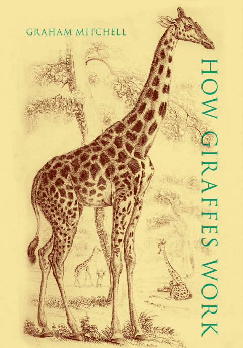 Cover image for book How Giraffes Work
